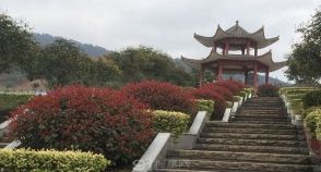 陵园风景图-1