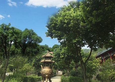 乌鲁木齐公墓