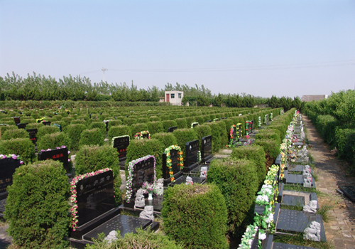 91资讯 正文 永福墓园是由民政局及相关部门审核批准的合法公益性墓地